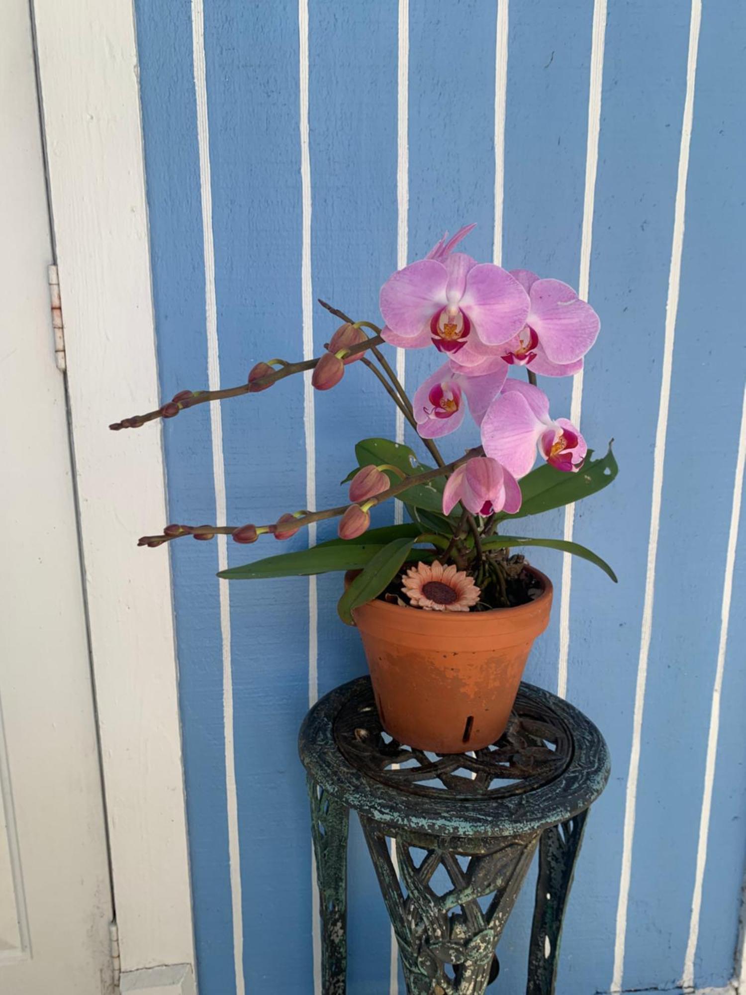 Mini Studio: 10 Min/Siesta Key/Private Entrance/ ซาราโซตา ภายนอก รูปภาพ